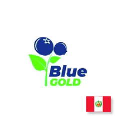 Logotipo de Bluegold, cliente de PIJ