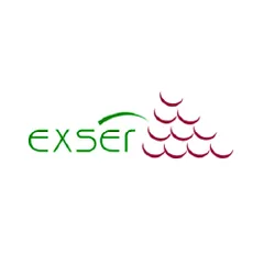 Logotipo de Exser, cliente de PIJ