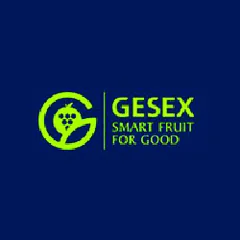 Logotipo de Gesex, cliente de PIJ