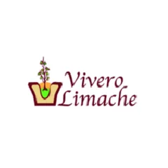 Logotipo de Vivero limache, cliente de PIJ