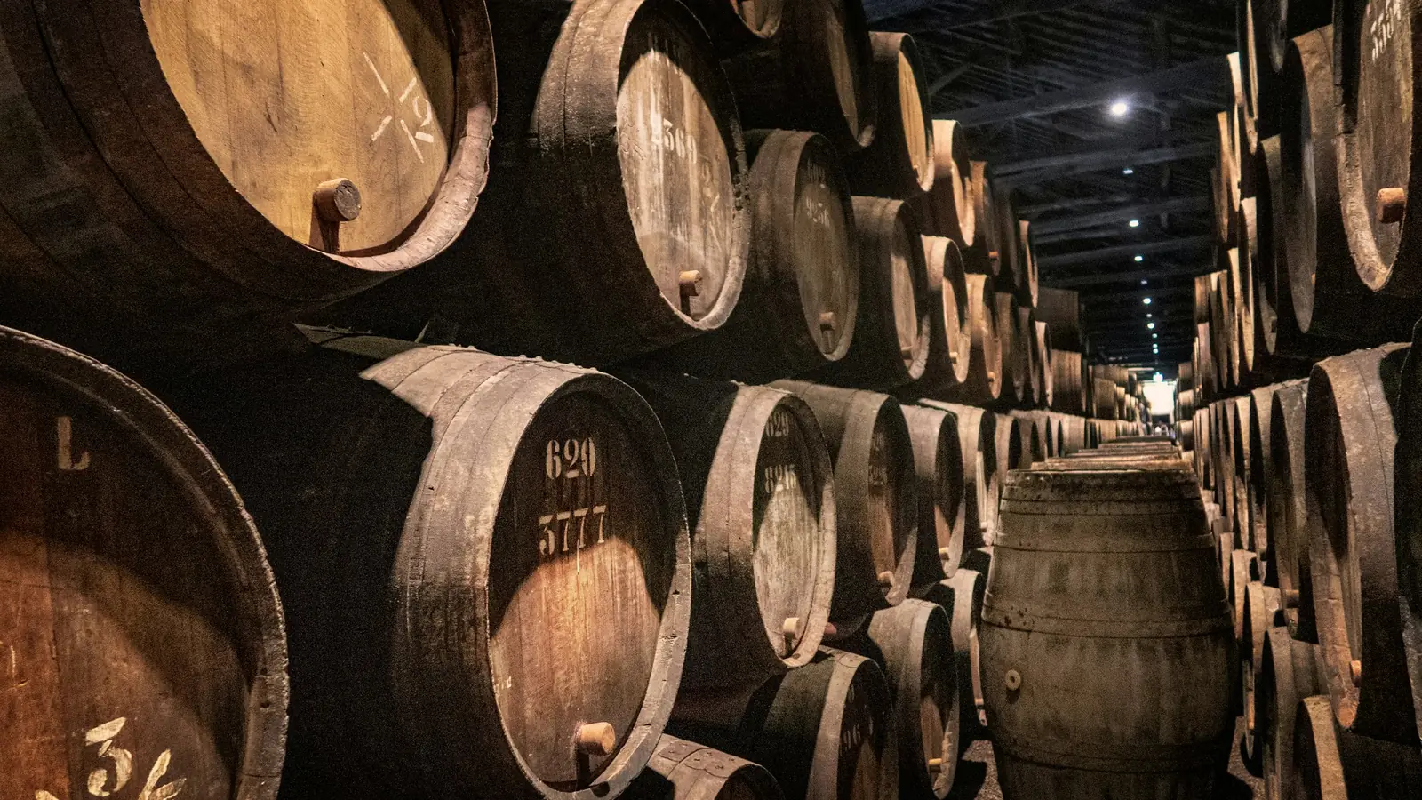 Barricas de vino apiladas en una bodega