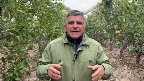 Miniatura del video: Entrevista a Sebastián Johnson en el IV Seminario de Cerezas Frescas Tempranas, Mendoza