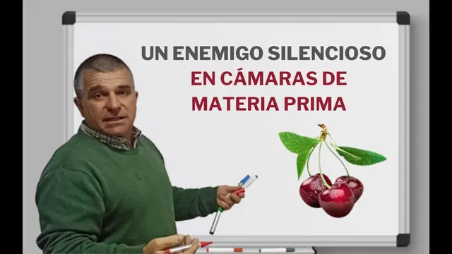 Miniatura del video: Un enemigo silencioso en cámaras de materia prima