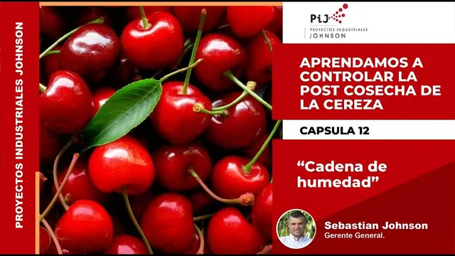 Miniatura del video: Cápsula 12. Cadena de Humedad