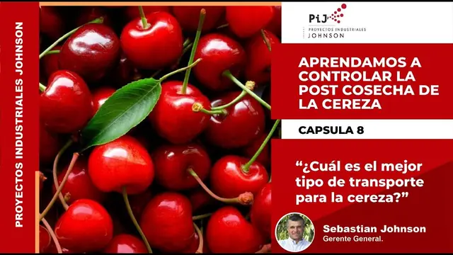Miniatura del video: Cápsula 8. Cuál es el mejor tipo de transporte para la cereza