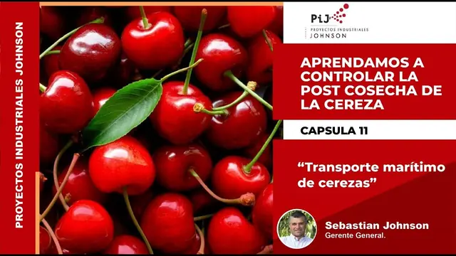 Miniatura del video: Cápsula 11. Transporte marítimo de la cereza