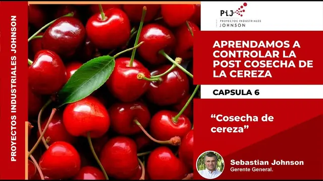 Miniatura del video: Cápsula 6. Cosecha de cereza