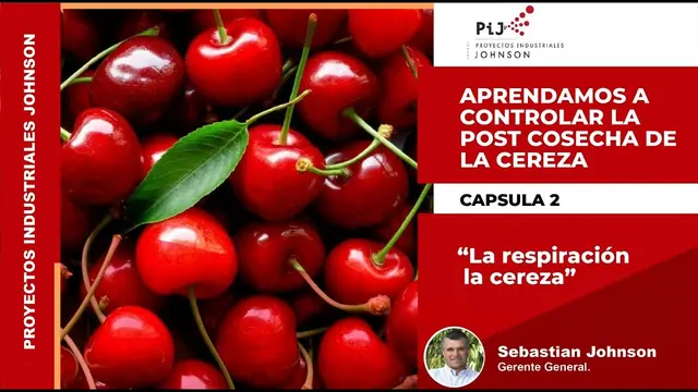 Miniatura del video: Cápsula 2. La respiración de la cereza