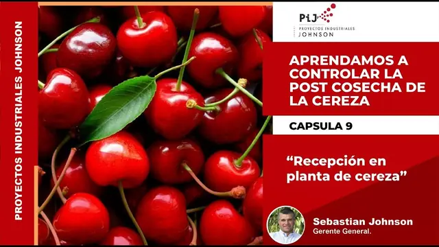 Miniatura del video: Cápsula 9. Recepción en planta de cereza